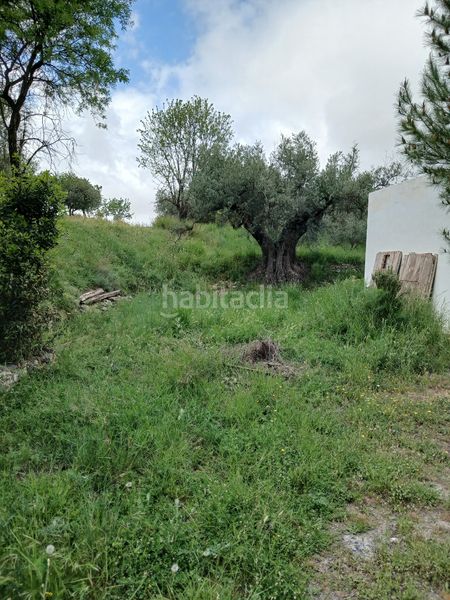 Foto f98a5756-bf47-4fcc-b6f9-94ccb0b78d39. Finca rústica a Fondón