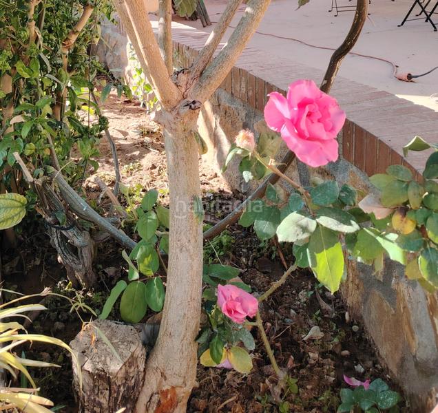 Foto e224155c-51f8-4929-90d8-db172ec5d860. Masia amb xemeneia aparcament piscina a Dalías