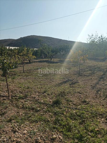 Foto 4c8e683d-2dcb-4c96-bd9b-897e84adebf6. Finca rústica se vende finca con cortijo en Dalías
