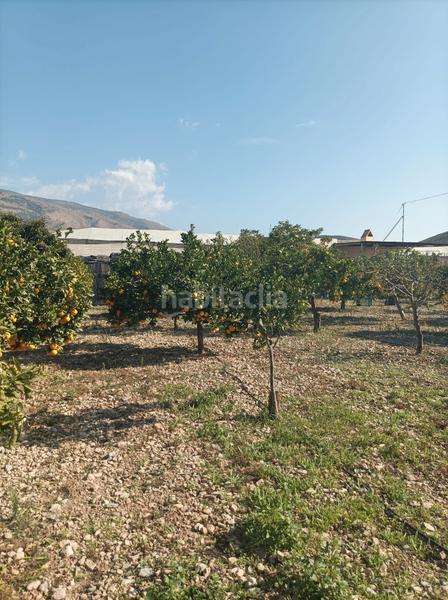 Foto c73ab194-a33c-4d57-9f09-35baacc97614. Finca rústica se vende finca con cortijo en Dalías