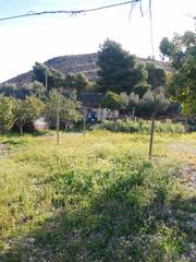 Rural plot in Ejido Norte. Parcela  de 3300 metros con cortijo