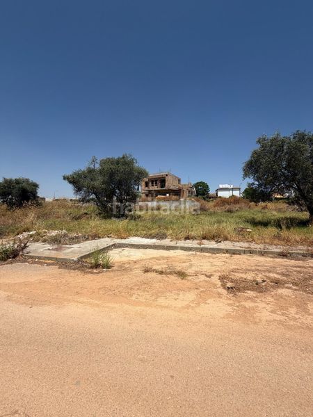 Foto 2314a990-b40b-46a2-96c3-5202e2b5dd90. Terreny residencial a Espartinas pueblo Espartinas