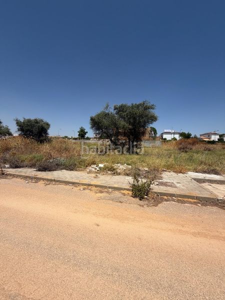 Foto 47026f7d-3860-4bbe-b6c6-dc674b81ebd6. Terreny residencial a Espartinas pueblo Espartinas