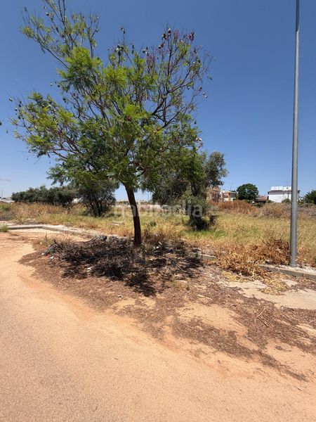 Foto 9fa2b3b6-c806-49a0-a506-1df4bbf5dc98. Terreny residencial a Espartinas pueblo Espartinas