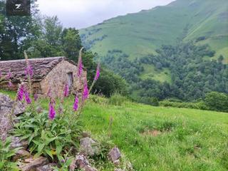 Casa a Vega de Pas. Conjunto de 3 cabañas con amplia finca en vega de pas