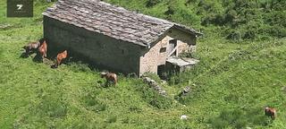 Masia a Vega de Pas. Conjunto de dos cabañas pasiegas en vega de pas