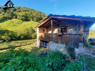 Mas à Vega de Pas. Encantadora cabaña rural  con negocio en funcionamiento en vega