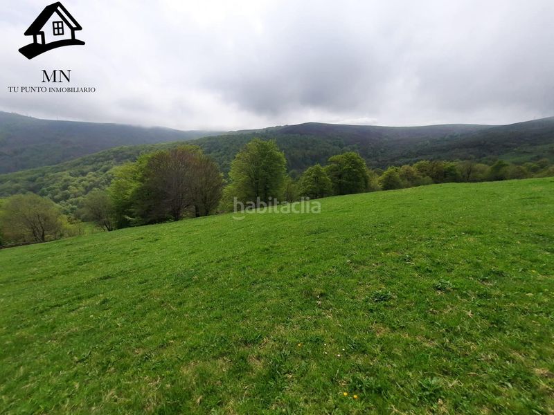 Foto 56d91882-237b-4be1-860a-4f851e51e634. Casale in Luena