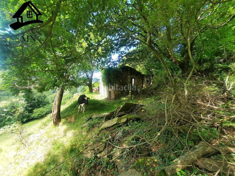 Foto 6fbf7561-c2b5-42eb-b503-036b08abb6bd. Mas dans Selaya