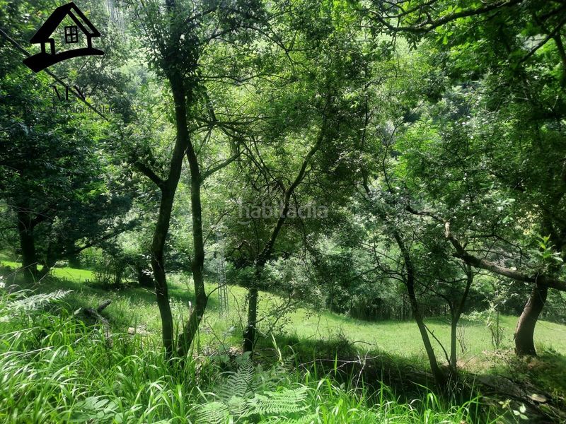 Foto bc83d5de-6a55-4ec4-ad16-0e65e1fa4dd8. Mas dans Selaya