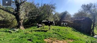 Casa a San Roque de Riomiera. Cabaña pasiega en san roque de riomiera