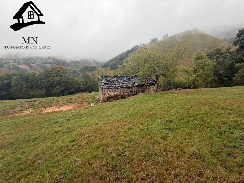 Foto b1b1aa69-c33f-46a1-a459-e55eb0977585. Casa a Selaya