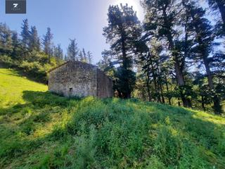 Masia a Luena. Finca rústica con cabaña para reformar en luena