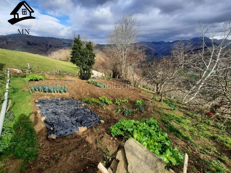 Foto 17d951db-6d20-40af-899a-94083d2fb94a. Masía venta de cabaña y finca en San Pedro del Romeral