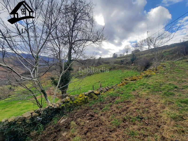 Foto 60f9013b-27f6-436e-91ee-92ffb1a0ceca. Masía venta de cabaña y finca en San Pedro del Romeral