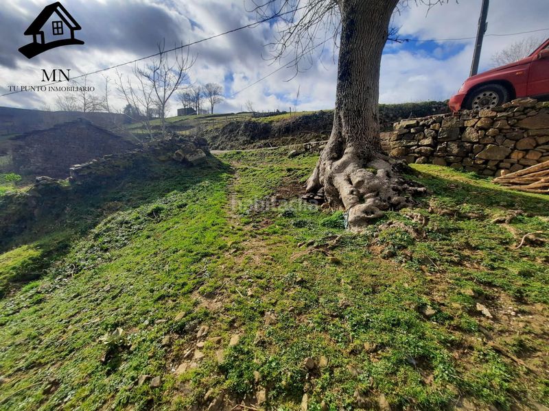 Foto a278115e-c678-43d8-9c63-7a5323a55393. Masía venta de cabaña y finca en San Pedro del Romeral