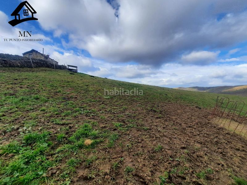 Foto d6ee732d-a86e-4ad4-a174-8331a064fbf3. Masía venta de cabaña y finca en San Pedro del Romeral