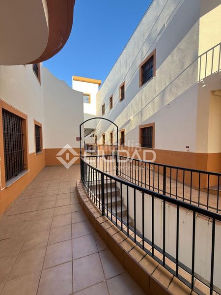 Foto 103ba49f-1877-47b2-bbf2-38b2518da069. Pis a Centro Chipiona