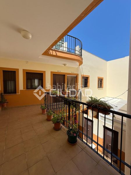 Foto c6f3aaae-33cd-4a10-b050-b778b86b1620. Pis a Centro Chipiona