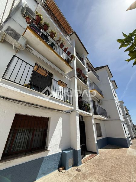Foto c473aea8-8913-4094-86ba-39deeb325629. Piso  en venta en Bosque (El)