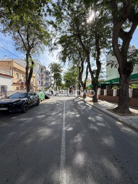 Foto 07c3a86c-ae6c-4dae-9bb7-bb059afcc686. Pis a Centro Chipiona