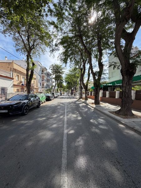 Foto ed1d38c6-3347-4cee-b7ae-4e9265549b64. Pis a Centro Chipiona