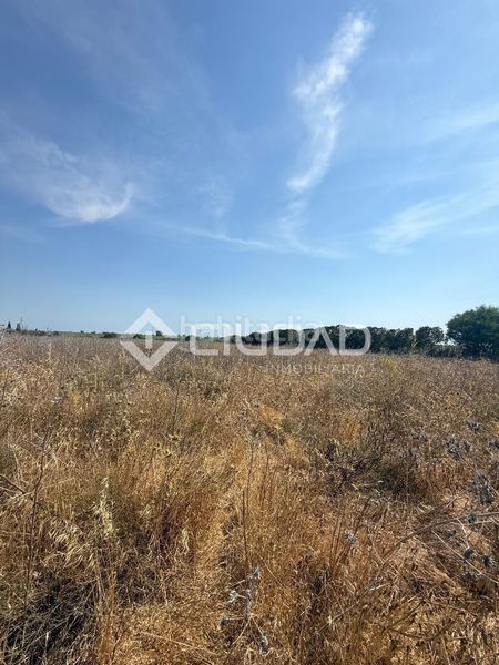 Foto 0b178b2a-2b54-4a5f-af91-35d66b178e79. Terreny residencial a Norte - Blanca Paloma Rota