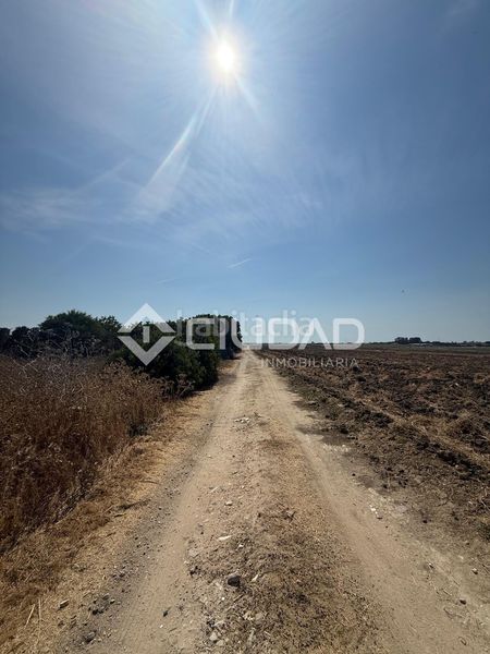 Foto 3eaed0f9-0b39-4bdc-bb28-31c966d0f5e9. Terreny residencial a Norte - Blanca Paloma Rota