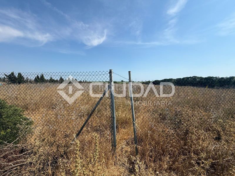 Foto 68d6ffac-9f02-4308-b1a7-dba45d103978. Terreny residencial a Norte - Blanca Paloma Rota