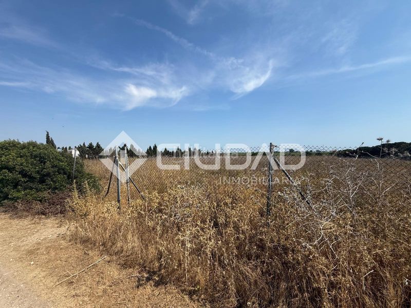 Foto 700fc6fb-bd6c-4292-8182-d0f4951d7094. Terreny residencial a Norte - Blanca Paloma Rota