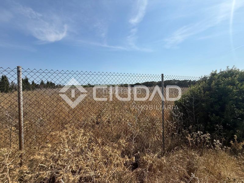 Foto ca52cb8a-b188-4ac7-b45d-5875866f1408. Terreny residencial a Norte - Blanca Paloma Rota