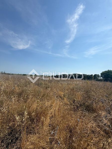 Foto d9071fde-d3c7-4d15-8f4b-c057cc00f867. Terreny residencial a Norte - Blanca Paloma Rota
