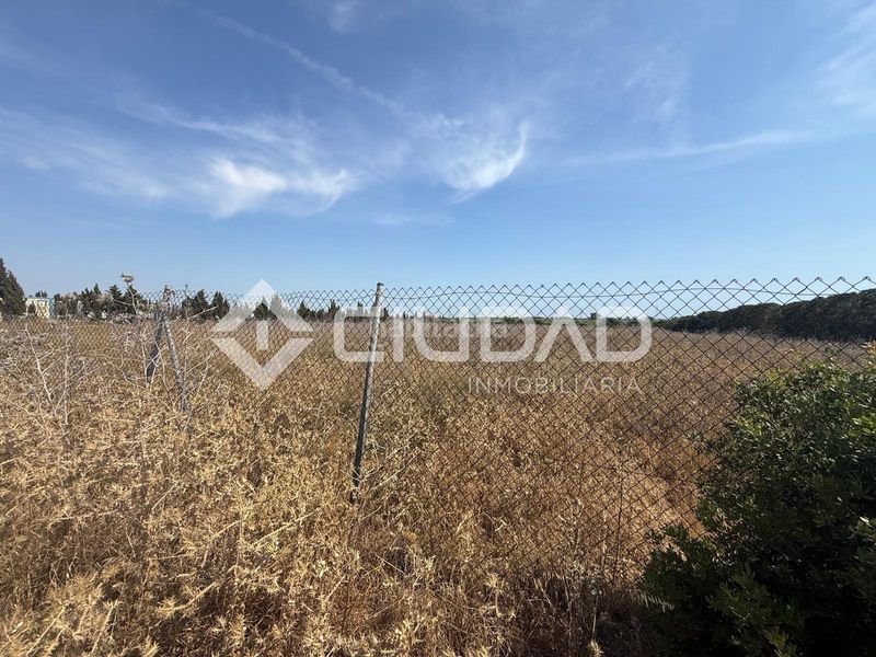Foto ff33f730-9291-4346-9dd4-2f24ee7dc323. Terreny residencial a Norte - Blanca Paloma Rota