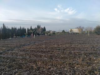 Terreny residencial en La Laguna. Parcela rstica en venta