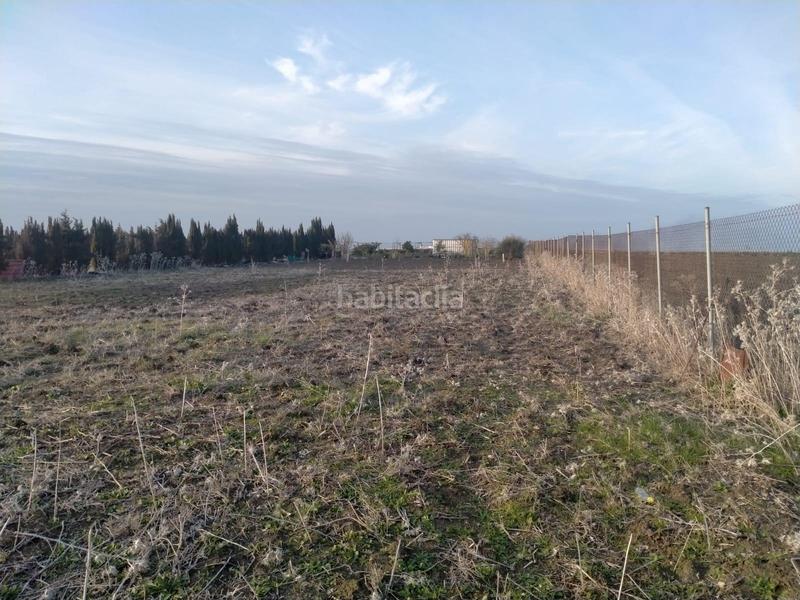 Foto 0afc9dd5-b83b-40e4-9cac-2143c70fbfb0. Terreno residencial parcela rústica en venta en La Laguna Chipiona