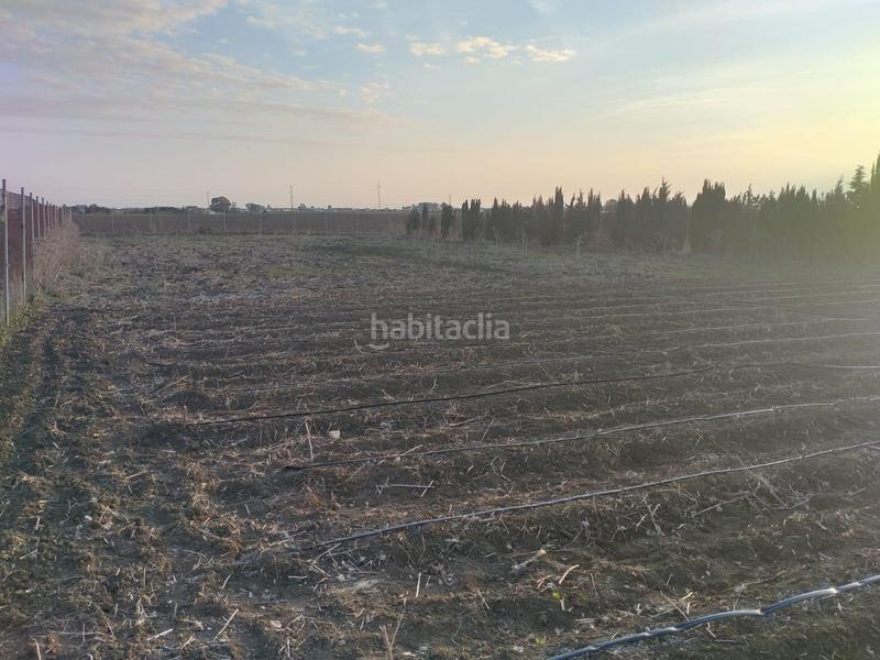 Foto 58612aae-de73-4621-b69b-5021bf417ee3. Terreno residencial parcela rústica en venta en La Laguna Chipiona
