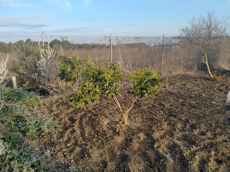 Foto 712e6982-7a09-4fda-821a-3f760ef4d09f. Terreno residencial parcela rústica en venta en La Laguna Chipiona