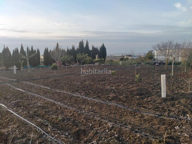 Foto 7f390fd7-f62a-4fdd-909d-172ff1b13ca5. Terreno residencial parcela rústica en venta en La Laguna Chipiona
