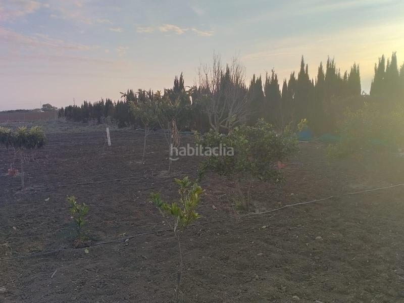 Foto c47a9781-031e-4fe0-a1e9-281e1cfa724d. Terreno residencial parcela rústica en venta en La Laguna Chipiona