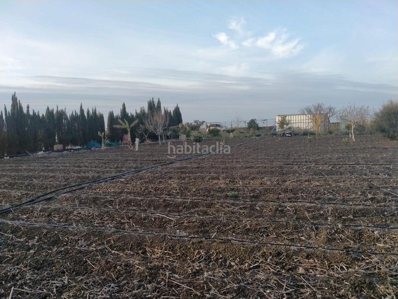 Foto d8e0d3b9-100c-4526-aff7-3d49fb78f762. Terreno residencial parcela rústica en venta en La Laguna Chipiona
