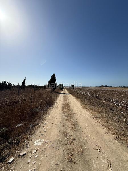 Foto 2b9a692b-8985-4bdd-9fd7-7c247af9a580. Terreno residenziale in Las Tres Piedras - Costa Ballena Chipiona