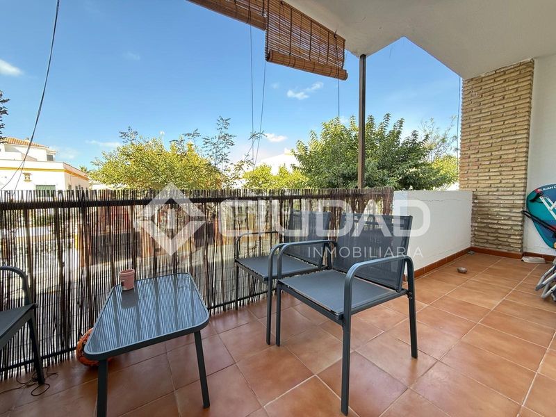 Foto ebc5074a-fece-42ee-b3a1-32143800a9a0. Pis a Santuario Chipiona