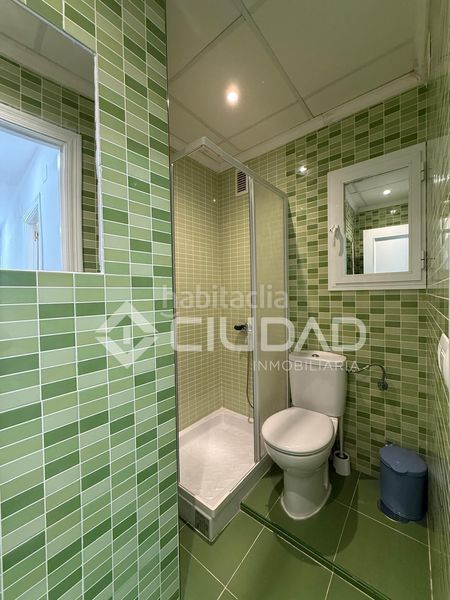Foto 1a788658-cd14-4018-b1ec-bdbb7f2e5eac. Pis a La Laguna Chipiona