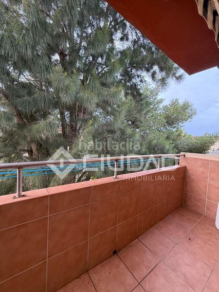 Foto bb499a15-428a-4916-968d-0aaf88dfd1bc. Pis a La Laguna Chipiona