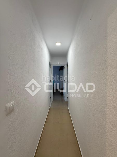 Foto e3d51cb5-722f-49a9-886a-3af2415ff380. Pis a La Laguna Chipiona
