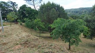Terreny residencial  Boscos montnegre. Parcela soleada en venta
