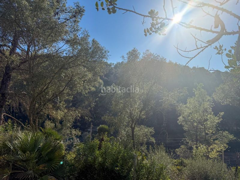 Foto 3e15987f-0f81-40e5-a974-0041cd37edf9. Casa amb aparcament a Olivella