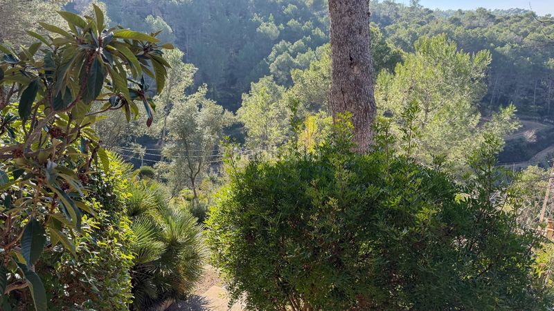 Foto ef4469ca-be79-4196-83eb-2c9ed5966194. Casa amb aparcament a Olivella