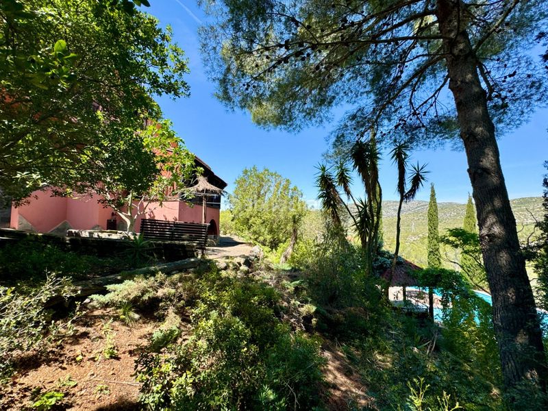 Foto e2ceb433-e1ba-4a3b-b09a-65f3154b269e. Casa amb aparcament piscina a Olivella