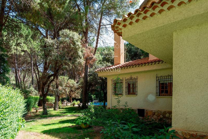 Foto 195b92b8-05f4-4a40-a405-1af2a02b13f1. Casa chalet independiente en urbanizacion pinares del jucar en Albacete
